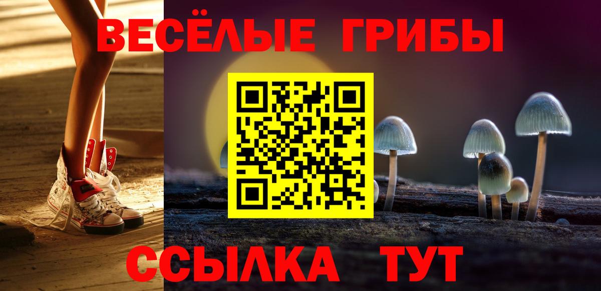 Урюпинск  Псилоцибиновые грибы прущие грибы  Вход с VPN  Галлюциногенные грибы ЛСД 